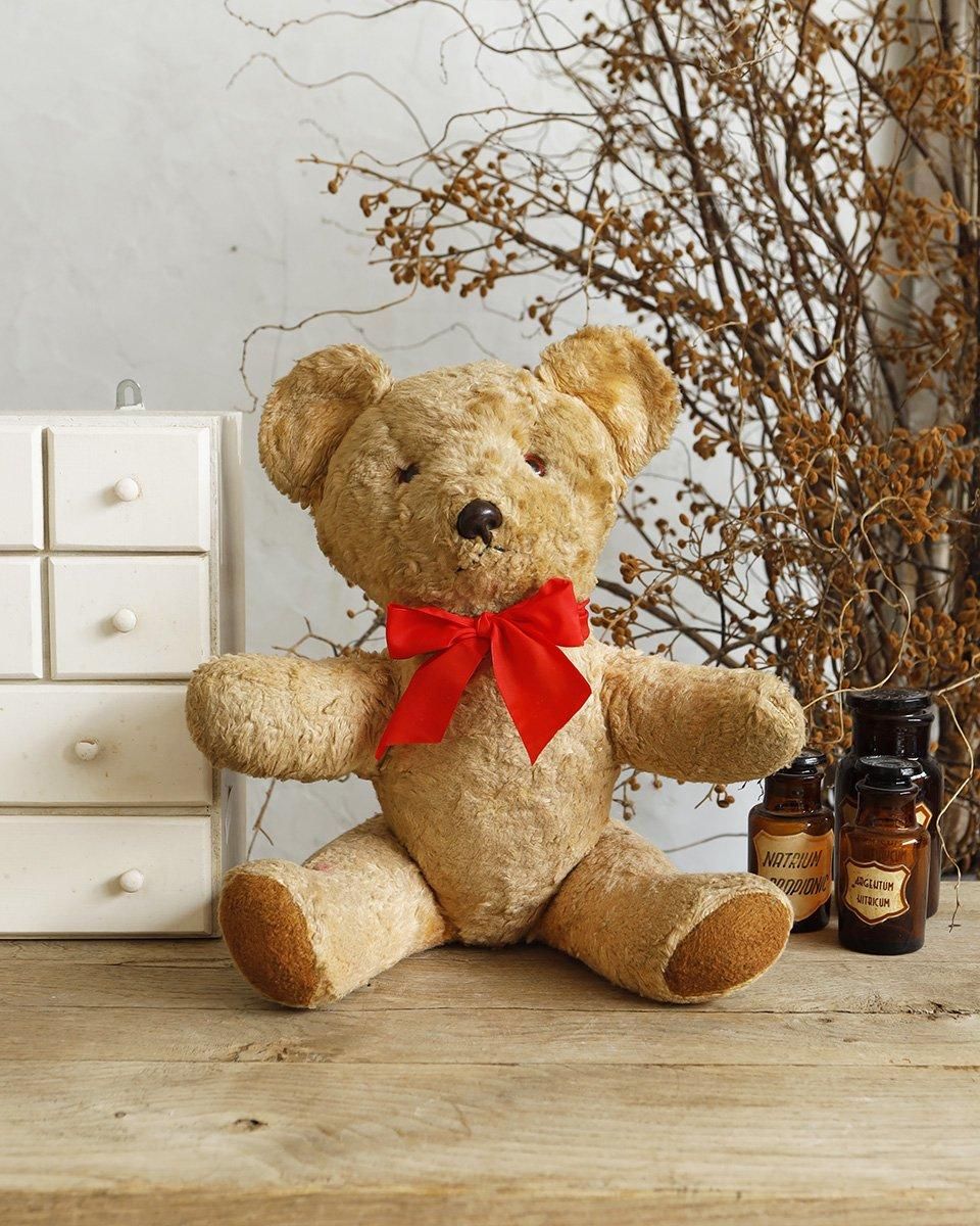 フランスアンティーク ぬいぐるみ”テディベア”.3 | Antiques Knock