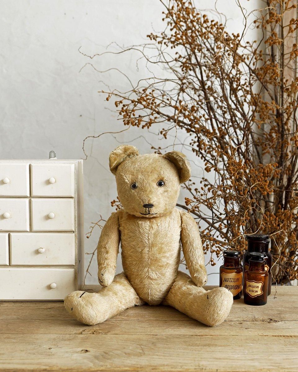 フランスアンティーク ぬいぐるみ”テディベア”.4 | Antiques Knock