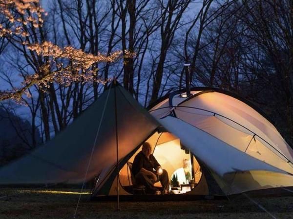 THE FREE SPIRITS SKY DOME - STANDARD point