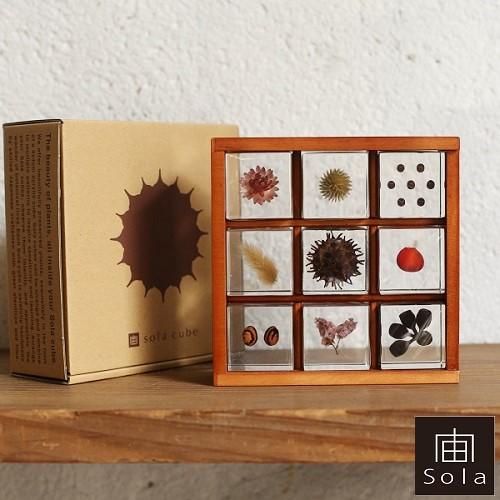 宙-sola- ソラ sola cube 標本箱木箱セット（9個入り）lizm