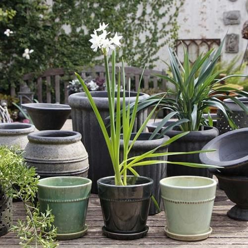 B-GREEN - GARDENS ONLINESHOP | ガーデンズ | 香川県高松市