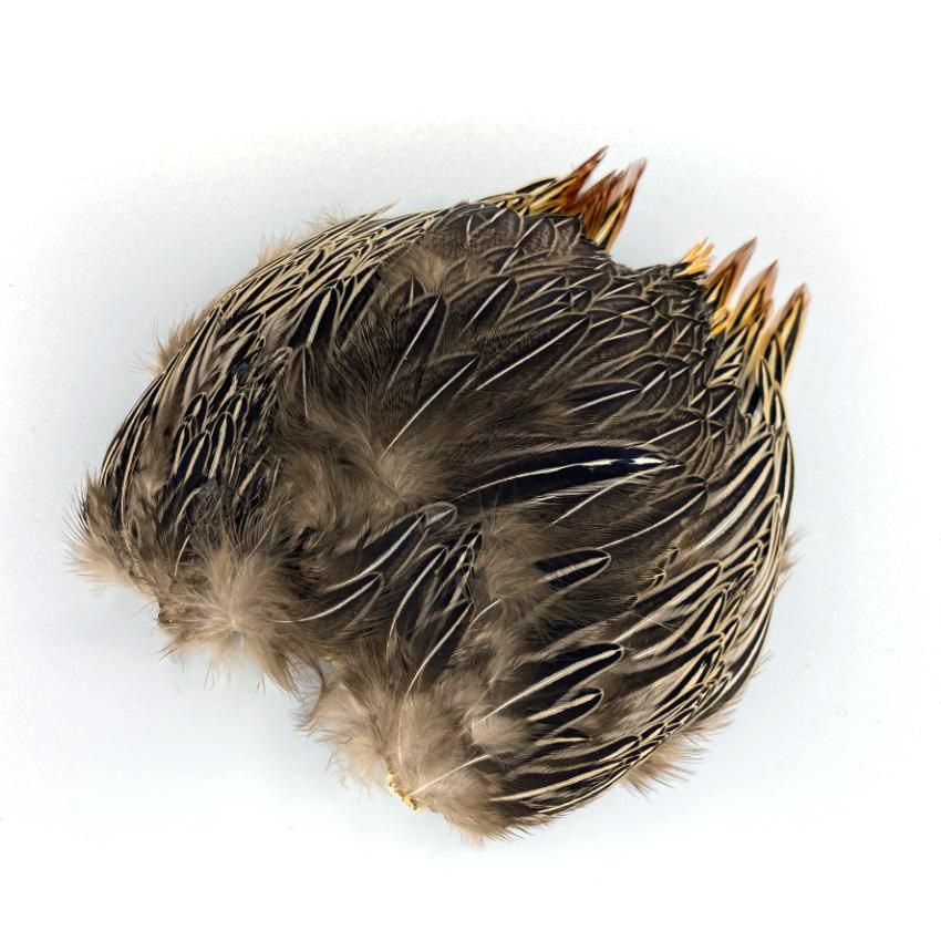 ジャングルコックサドルパッチ - 加藤毛ばり店