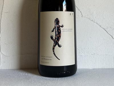 アンドレアス・ツェッペ ANDREAS TSCHEPPE - Wine Shop Salut - 世界