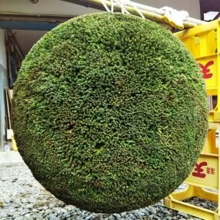 杉玉 - 杉玉の高林 オンラインストア