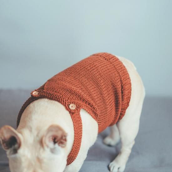 フレンチブルドッグ服 Buhitt ブヒット 手編み ニット服 GRACIA DOGGO