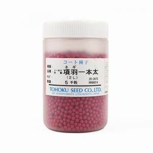 項羽一本太(THN160)【トーホク種苗】 コート5000粒 - ネギ参謀