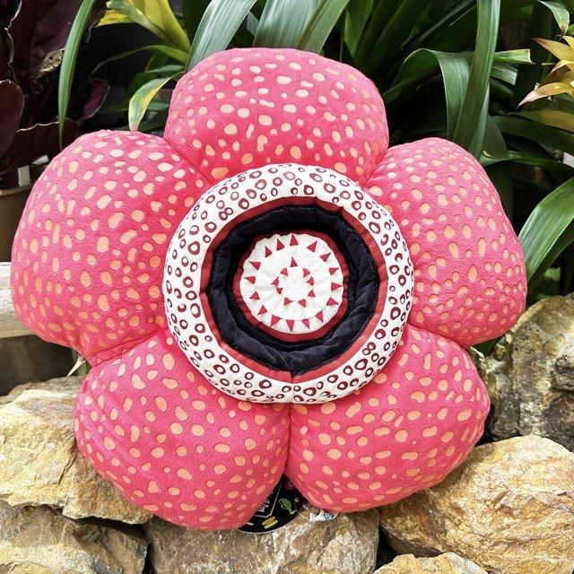 ラフレシアクッション - 掛川花鳥園公式通販サイト FBPshop