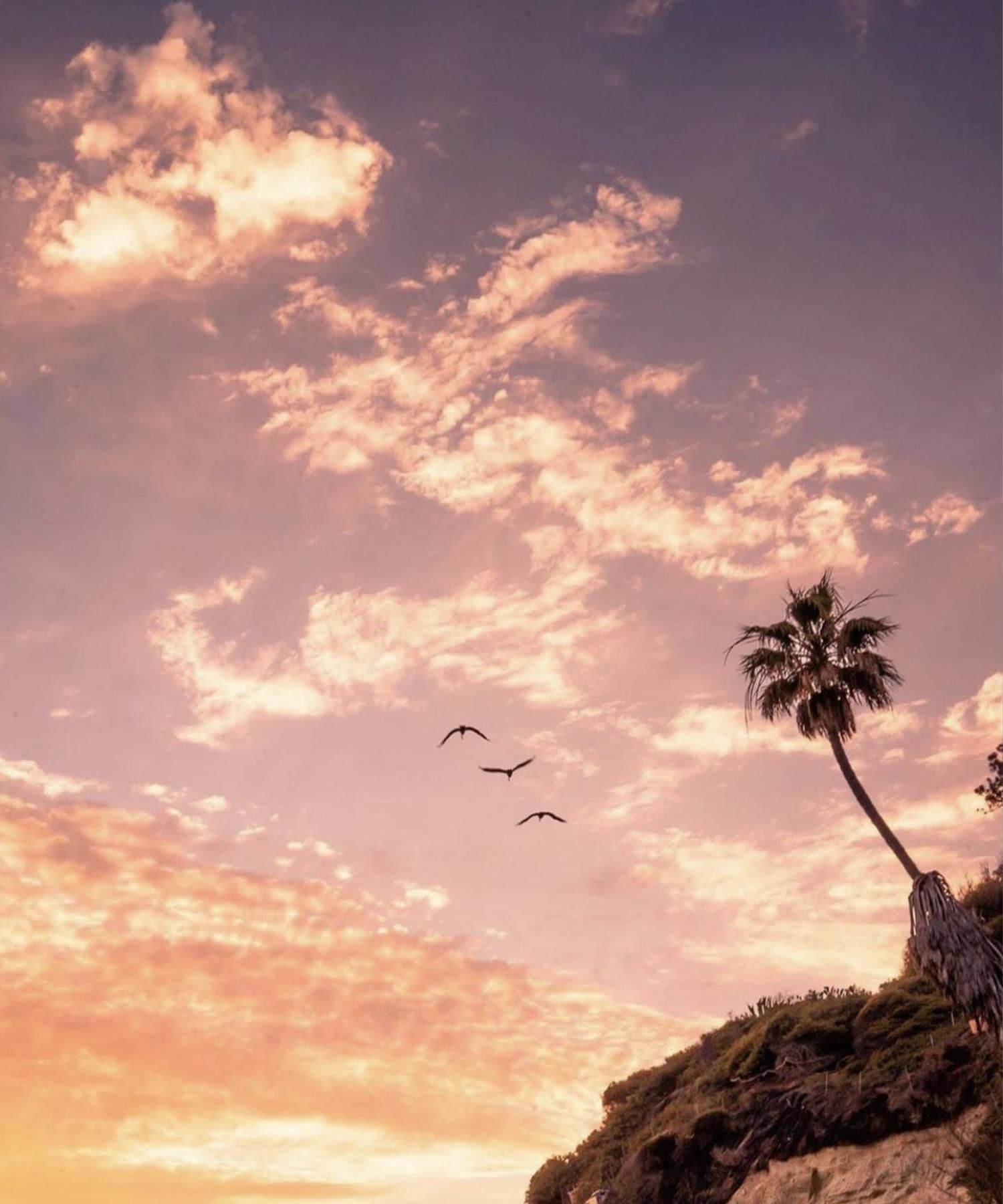 新品】eco bitch beach style サーフスーツ WatoEy・Swell flowers