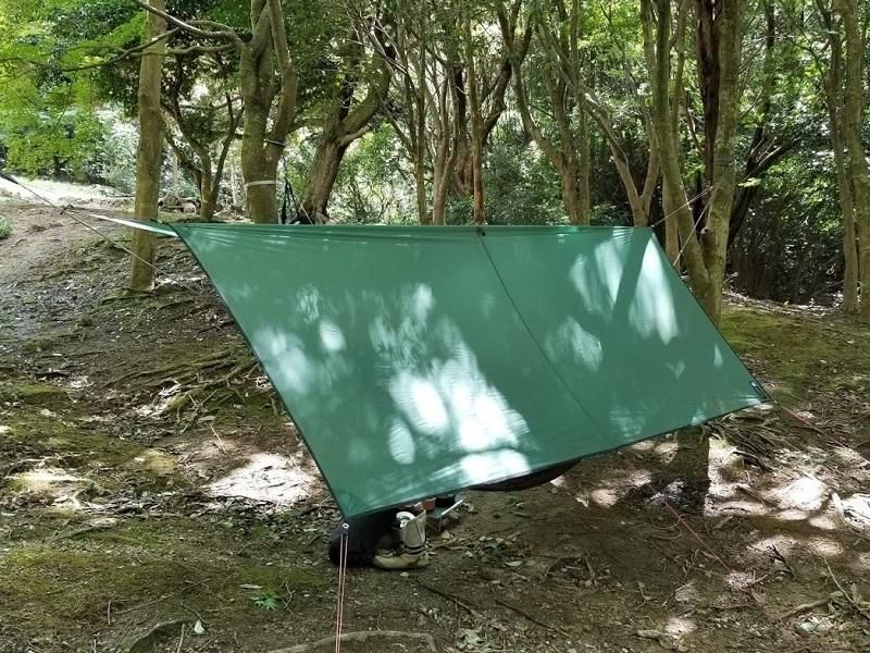 テラノバ TERRA NOVA