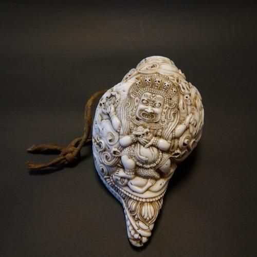 ほら貝・法螺貝・ホラガイ（シャンカ）大黒天 販売｜大阪 多羅堂