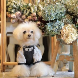 ギャザーフレンチブラウス(ID) - 「ブルーブルーブルー blue bleu