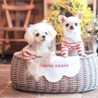 ギャザーフレンチブラウス(ID) - 「ブルーブルーブルー blue bleu