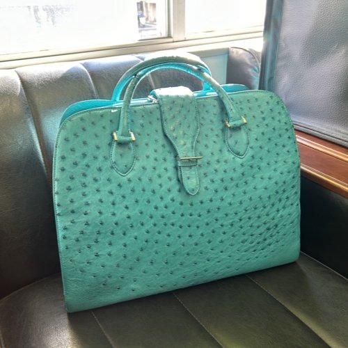 オーストリッチバッグフルポイント・スタイリッシュブルー - メイド