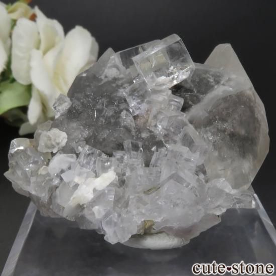 スペイン Emilio Mine産 フローライト＆カルサイト原石 No.8 - cute