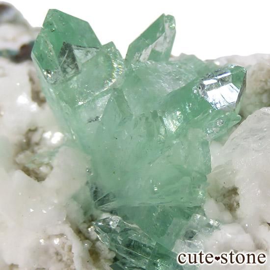 グリーンアポフィライトの鉱物標本・原石（インド プネー産）- cute