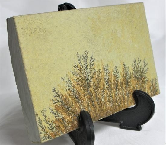 デンドライト(しのぶ石)