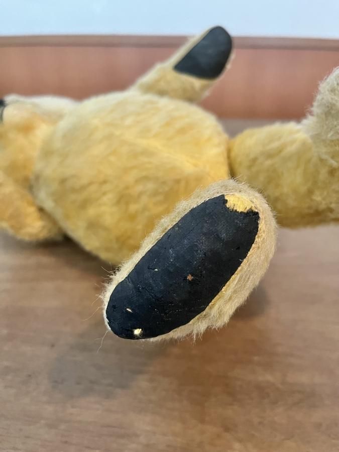 イギリス スーティーベア - アンティークとテディベアの店 Parade