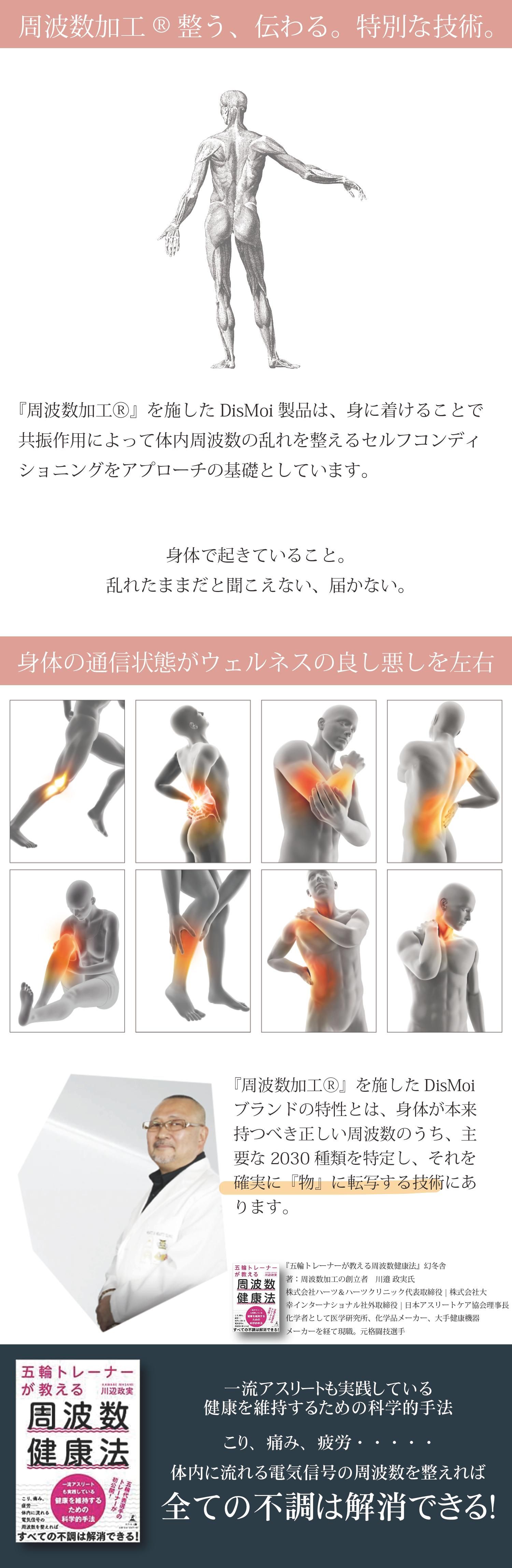 ディモアスポーツオーロラ | 42cm - 大幸インターナショナル 公式