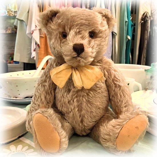 シュタイフ社 ＊ 1950年代 ＊ 