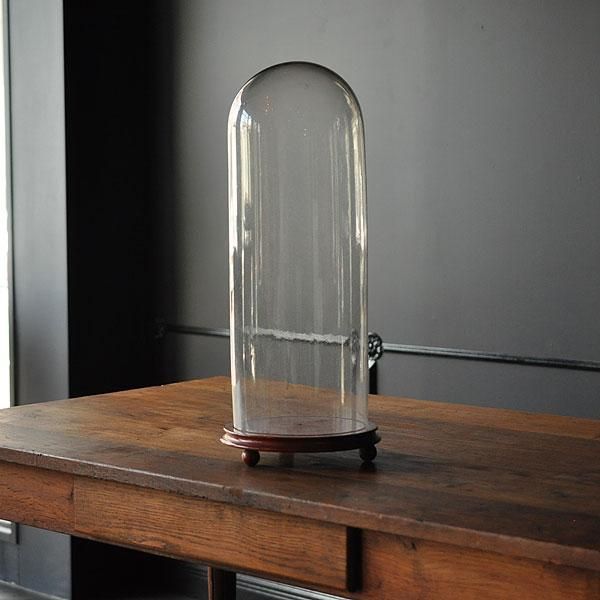 アンティーク ガラスドーム・2 H55cm/フランスアンティーク雑貨・家具