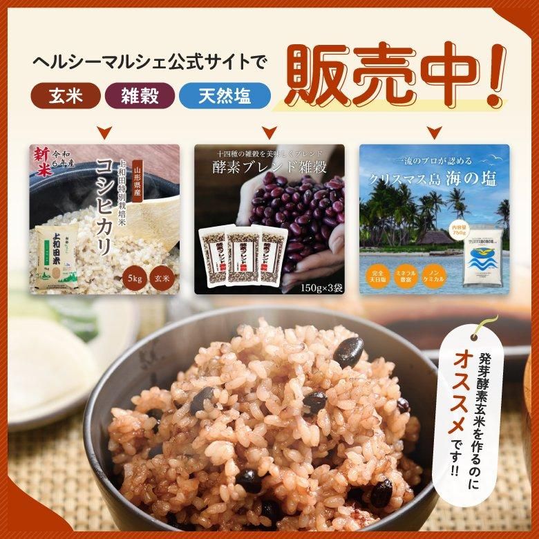 公式 発芽酵素玄米炊飯器 PremiumNew圧力名人SP 蒸し器 レシピ本付き