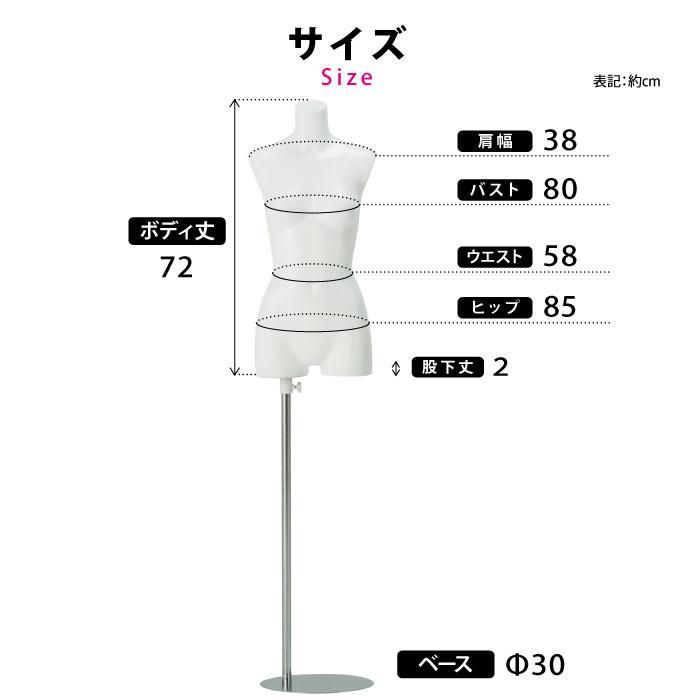 トルソー マネキン レディースボディ 7号 白艶消し簡易塗装 腕なし 股