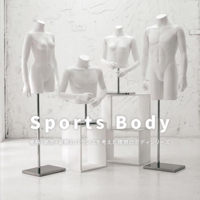 卓上トルソー メンズ ボディ スポーツタイプ 紳士 上半身 腕なし