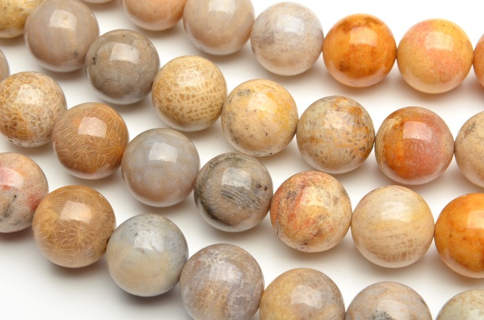 フォッシルコーラル 】 12mm 1連（約38cm）[LR7] - 天然石問屋の福縁