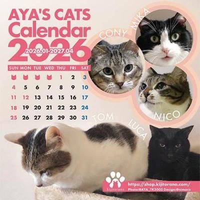 Kijitoranoカレンダー2026（CDサイズ置型） - SweepRecordSHOP