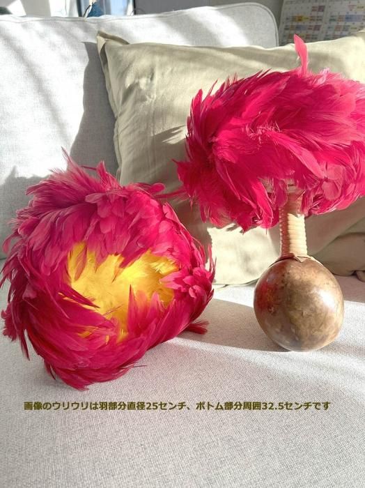 フラで使う楽器「ウリウリ」のカバー