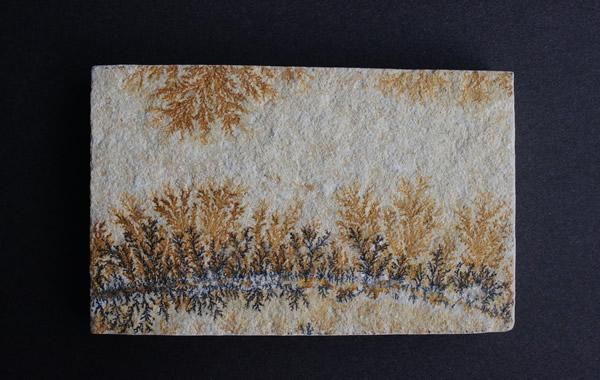 デンドライト Dendrite - greenfloat