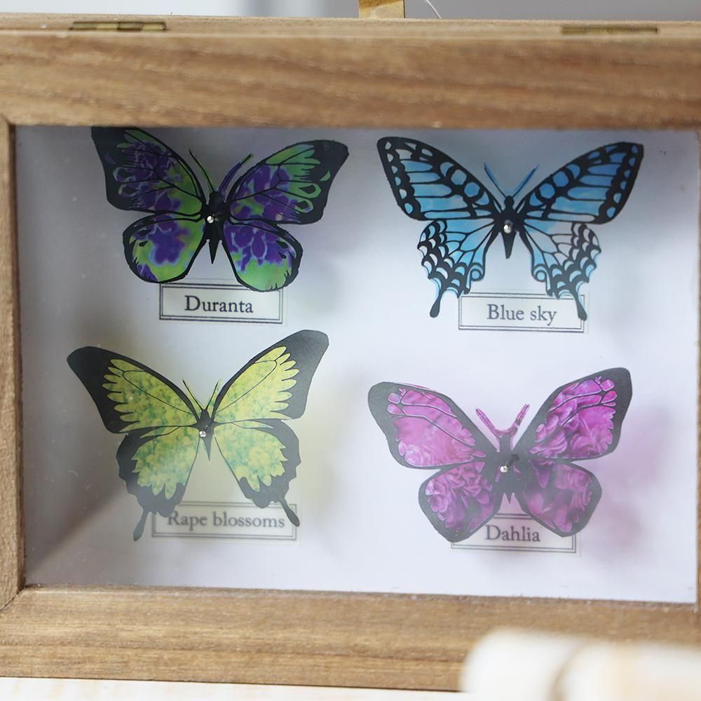 蝶標本箱オブジェ（4匹入り） - 海福雑貨通販部