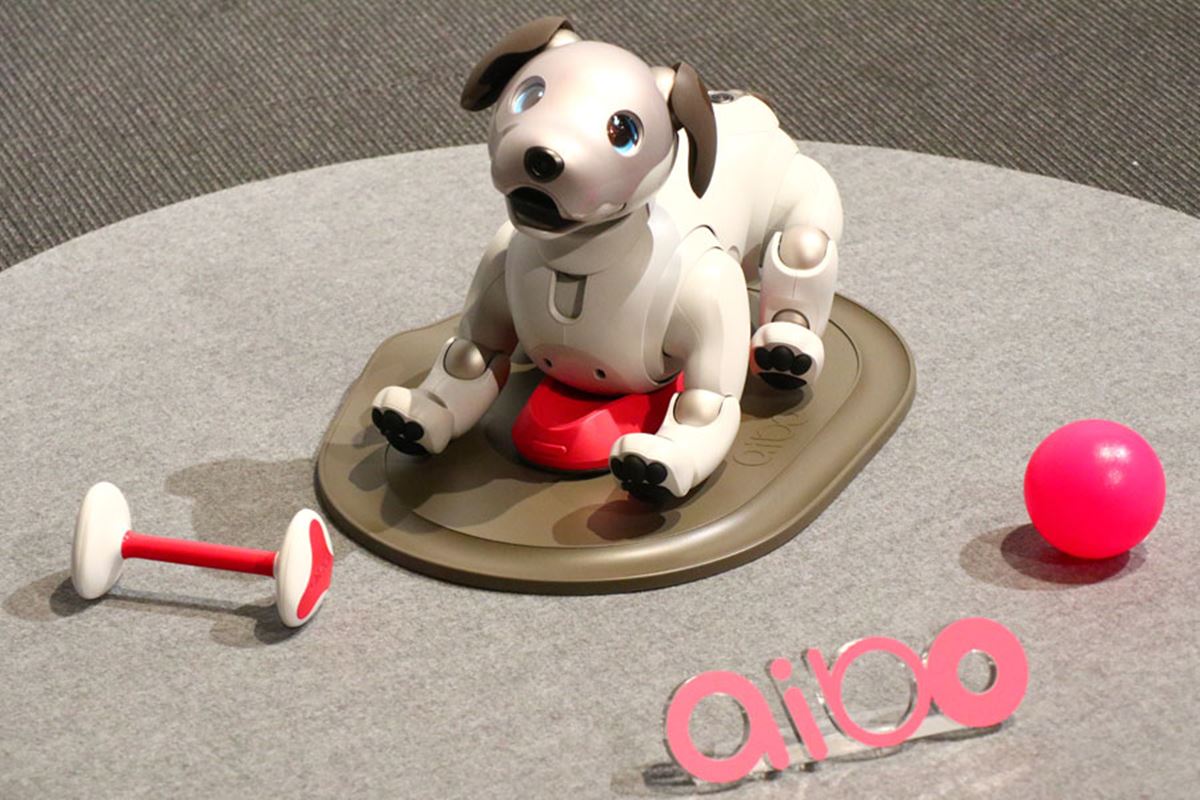 aibo（アイボ）」が帰ってきた！ 愛くるしい表情と滑らかな動きを動画