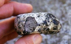 アンバーグリス【本物の龍涎香】ピュアホワイトオイル 3ml