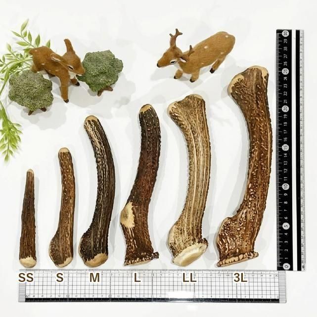 犬用 鹿の角 ツノ S 重さ36～70g【常温】 - 国産鹿肉 ドックフードと犬