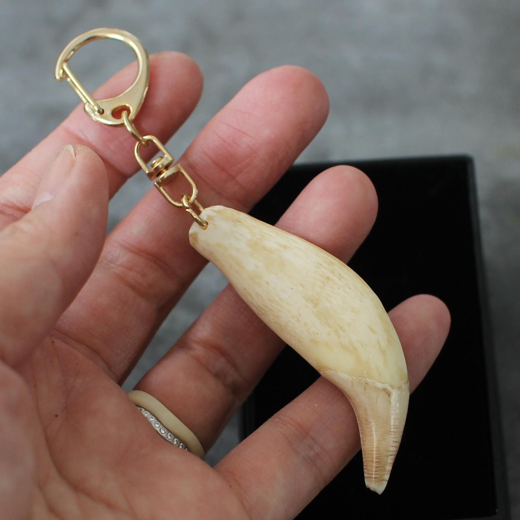 獣 - kemono - キーホルダー（熊の牙） - けもの舎