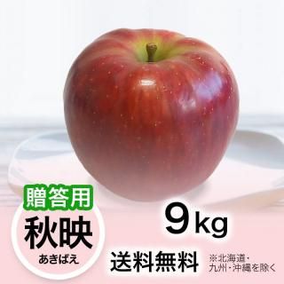 家庭用】りんご 秋映（あきばえ） 9kg | YazawaFarm公式オンラインショップ