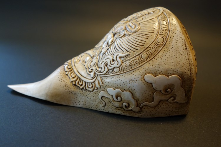 ほら貝・法螺貝・ホラガイ（シャンカ） 文殊菩薩 販売｜大阪 多羅堂