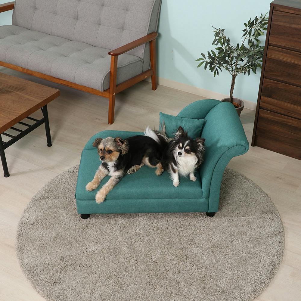 ペットカウチソファ クッション付き グリーン【別送品】 | ペット