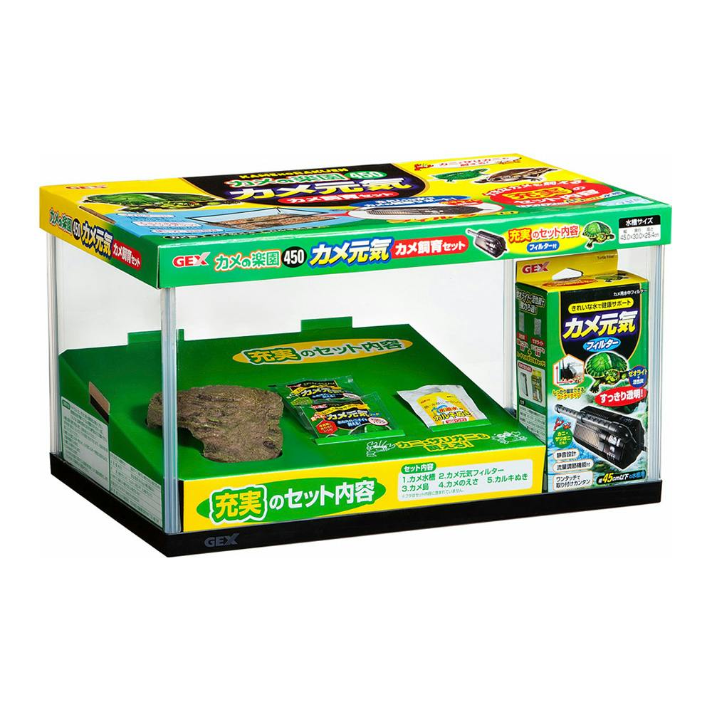 えいちのみずワカガエル 1ヶ月セット えいちのみずワカガエル 1ヶ月