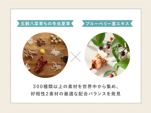 犬心「低たんぱくバランス」特許取得 - 犬心～INUKOKORO～