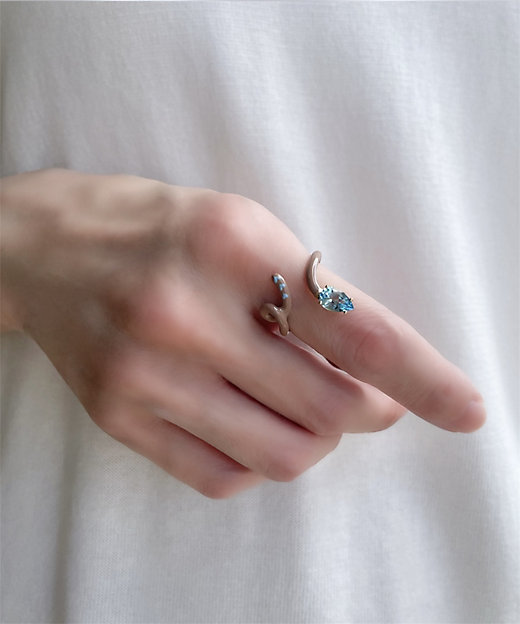 ベア・ボンジャスカ×アッシュ・ペー・フランス 40th リング