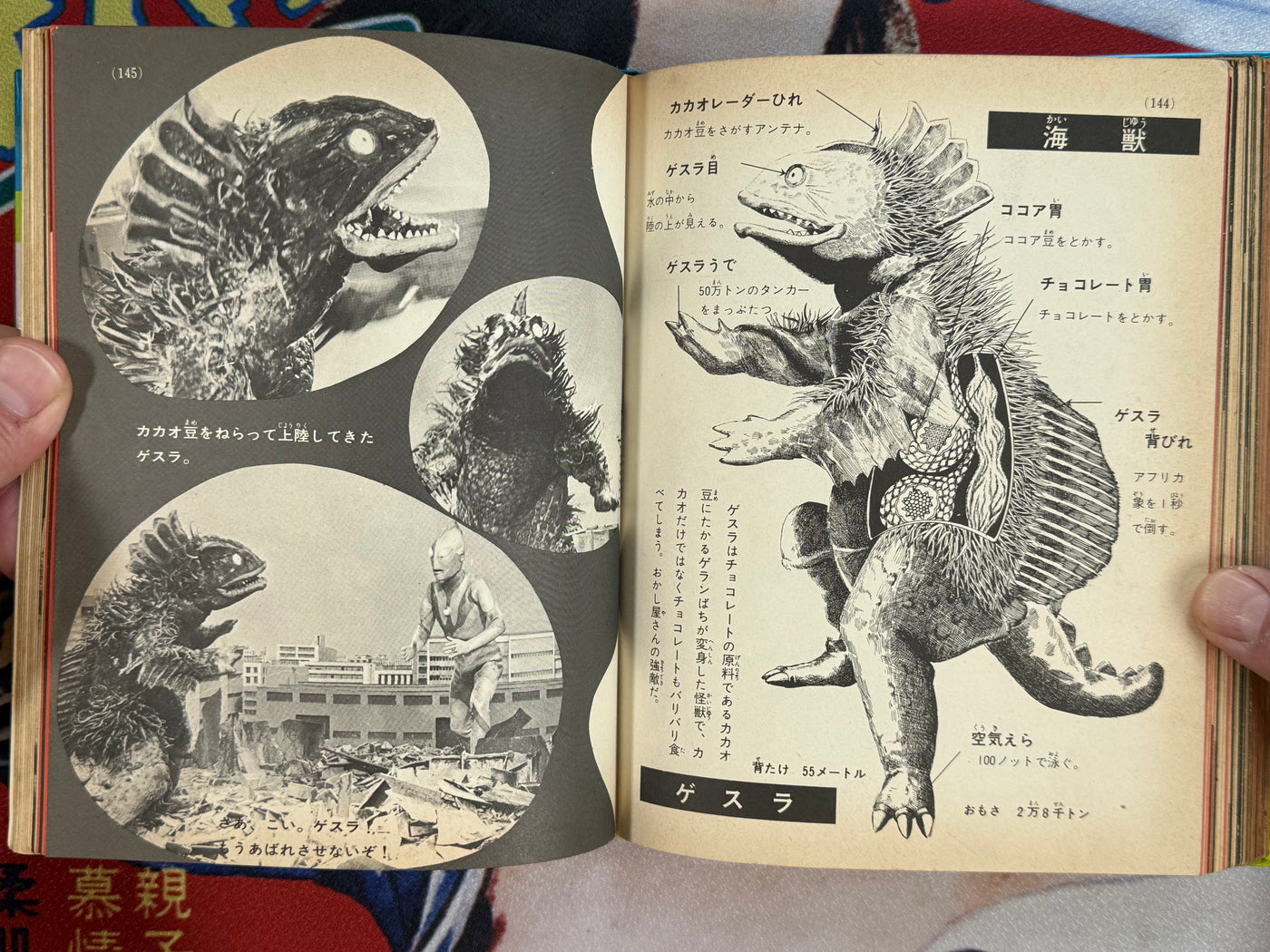 Introduction to Kaiju Dissection (1972) by Shogakukan - Hardcover