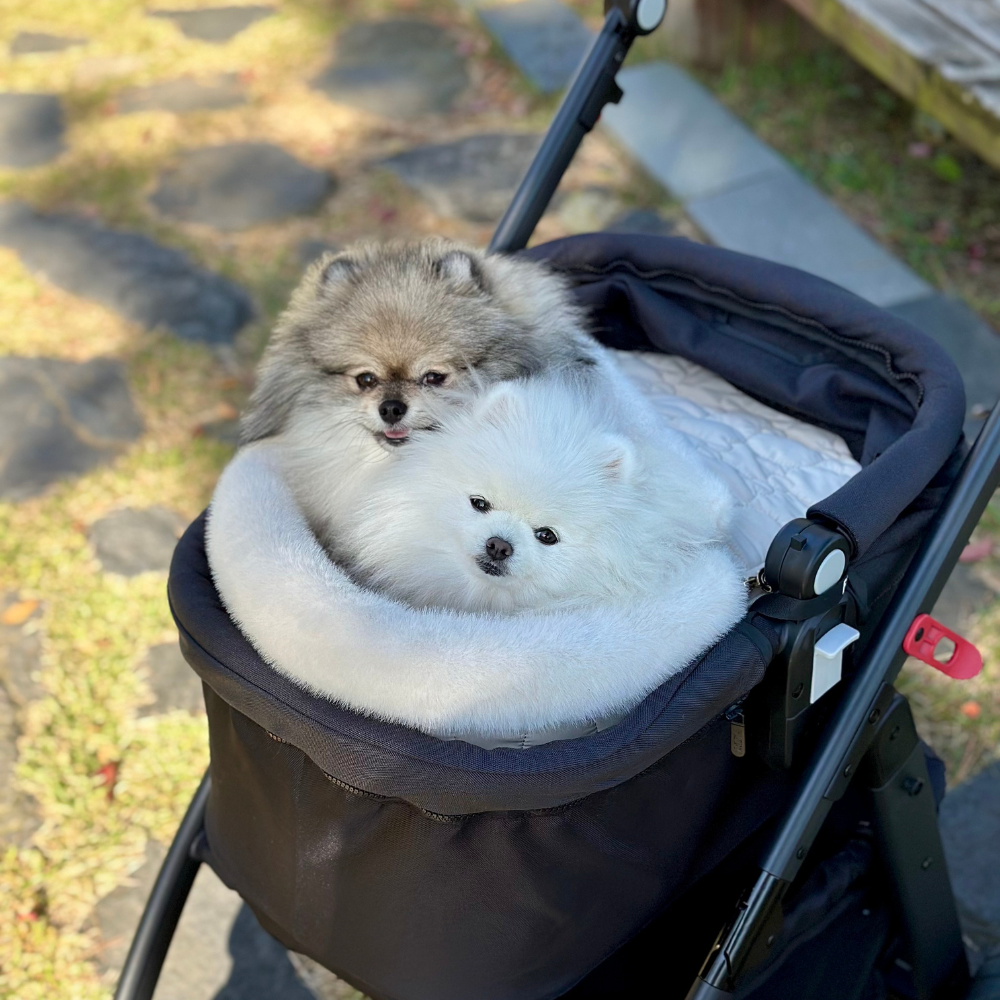 バシネット SNOW DOME、クリームアイボリー