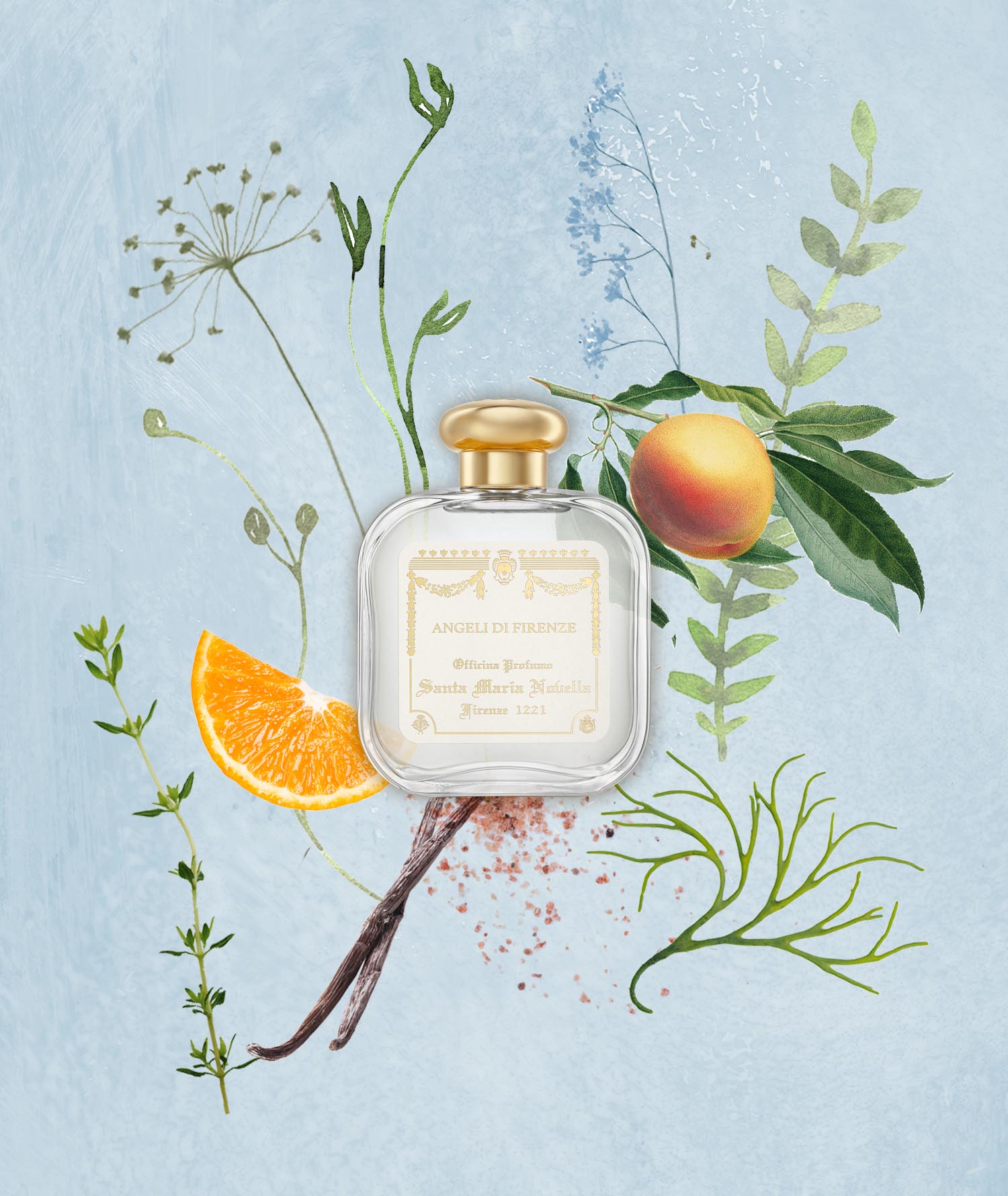 エンジェル オブ フローレンス オーデコロン｜サンタ・マリア・ノヴェッラ