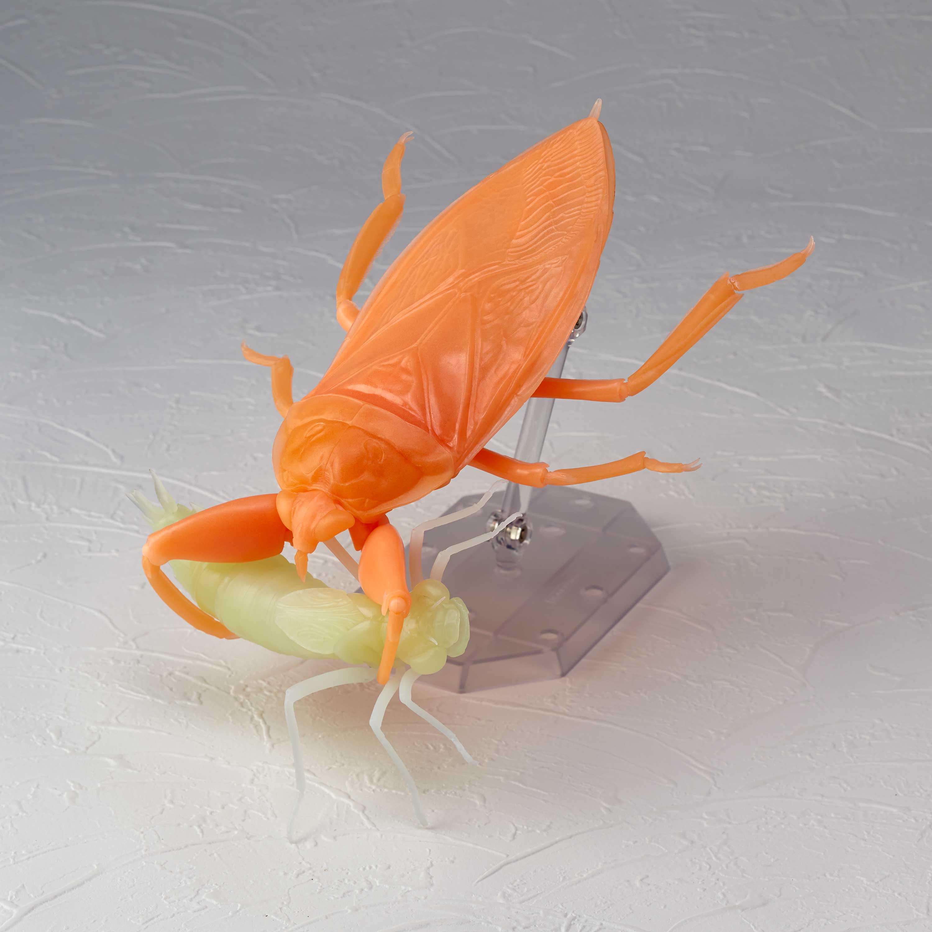 RG006 リボジオ タガメ オレンジ蓄光ver. Glow in the dark -Orange