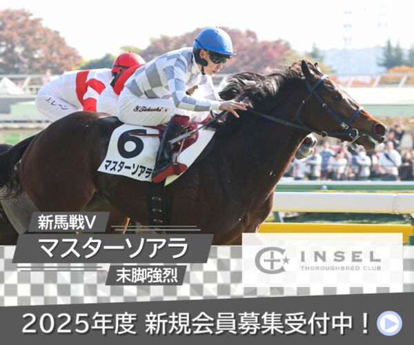 武豊騎手サイン入り ドウデュース日本ダービーレプリカゼッケンを出品