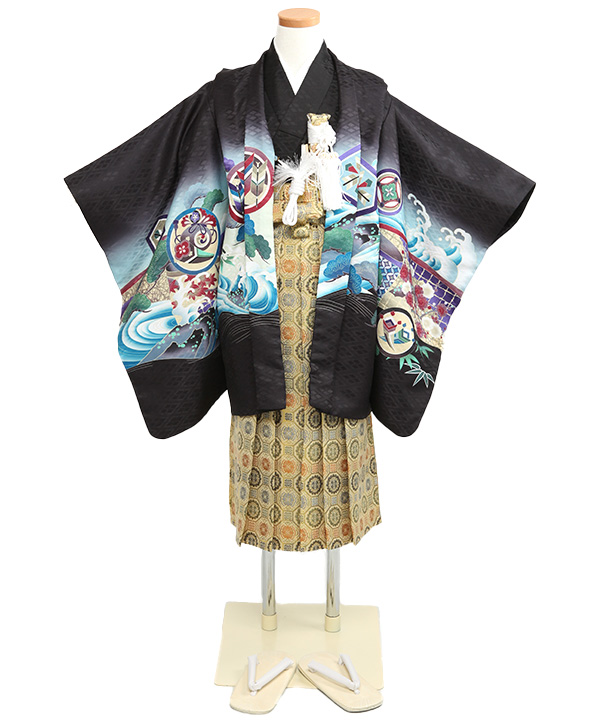 七五三(五歳男の子)着物レンタル｜鷹柄黒羽織 黒着物×金袴｜W-B-5-118