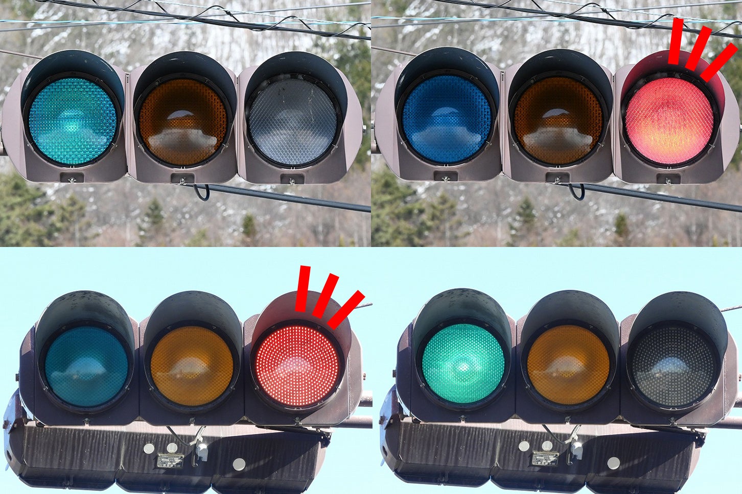 この信号機、赤だけLEDだ！ 理由はまさかのコスパ？ 【信号機マニア