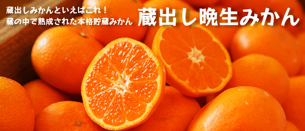 2月のみかんなら蔵出し晩生みかん（日本農業遺産認定の和歌山県海南市